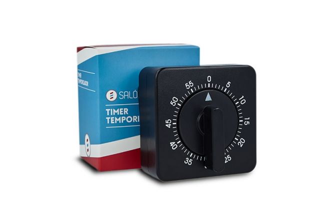TEMPORIZADOR SALERM